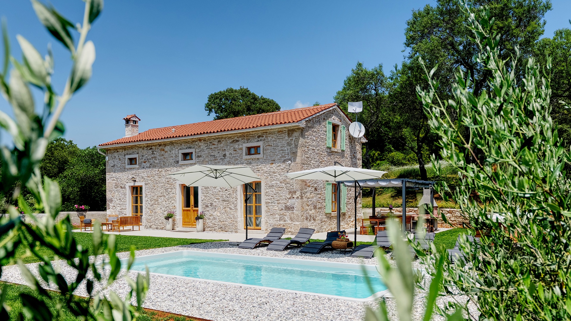Casa Škitaconka — pool view through olive trees