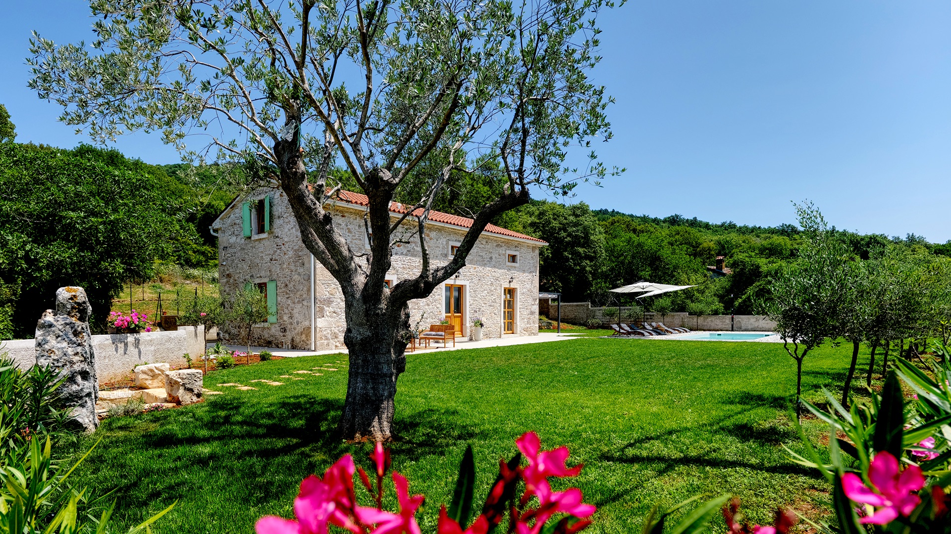 Casa Škitaconka — full view with olive tree